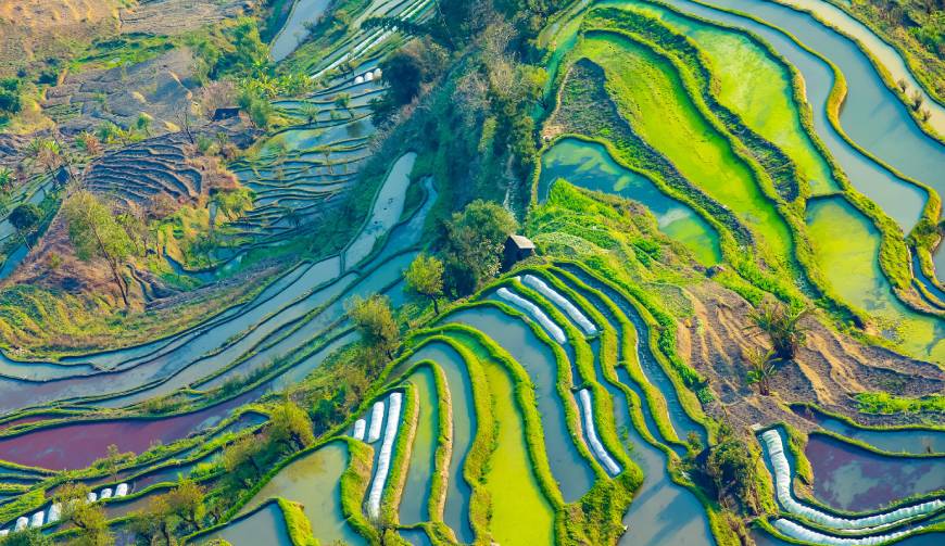 宝妈必备神器：通榆县产品视频拍摄轻松育儿好帮手