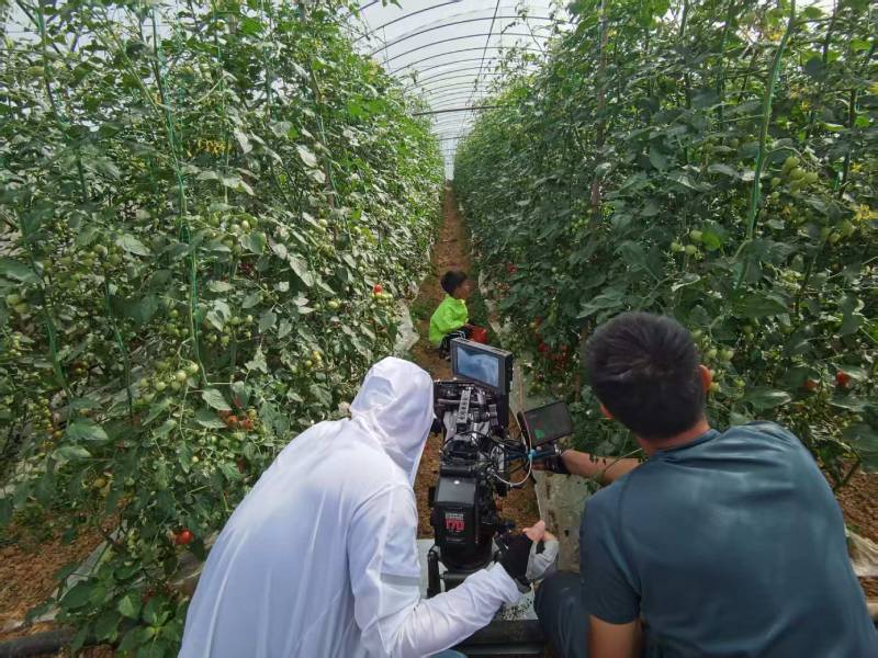 通榆县产品宣传视频拍摄公司进阶指南，助力品牌抢占传播高地